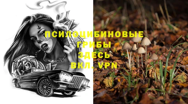 ешки Беломорск