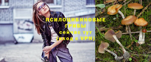 каннабис Белокуриха