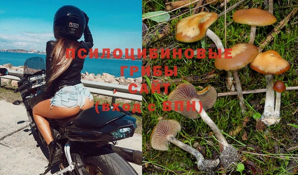 каннабис Белокуриха